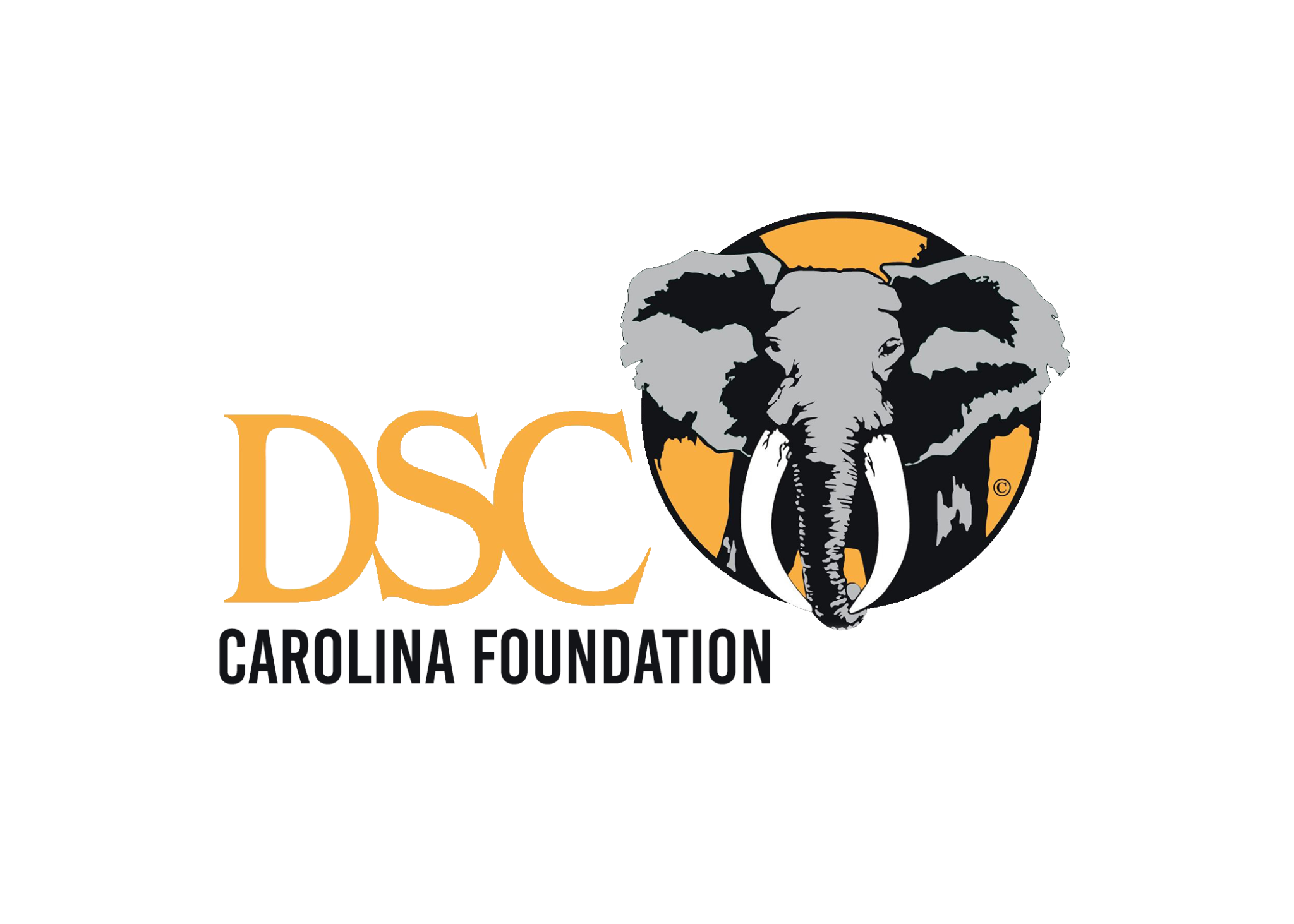 News & Stories - Dallas Safari Club