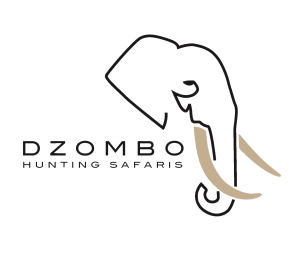 DZOMBO LOGO - Edited