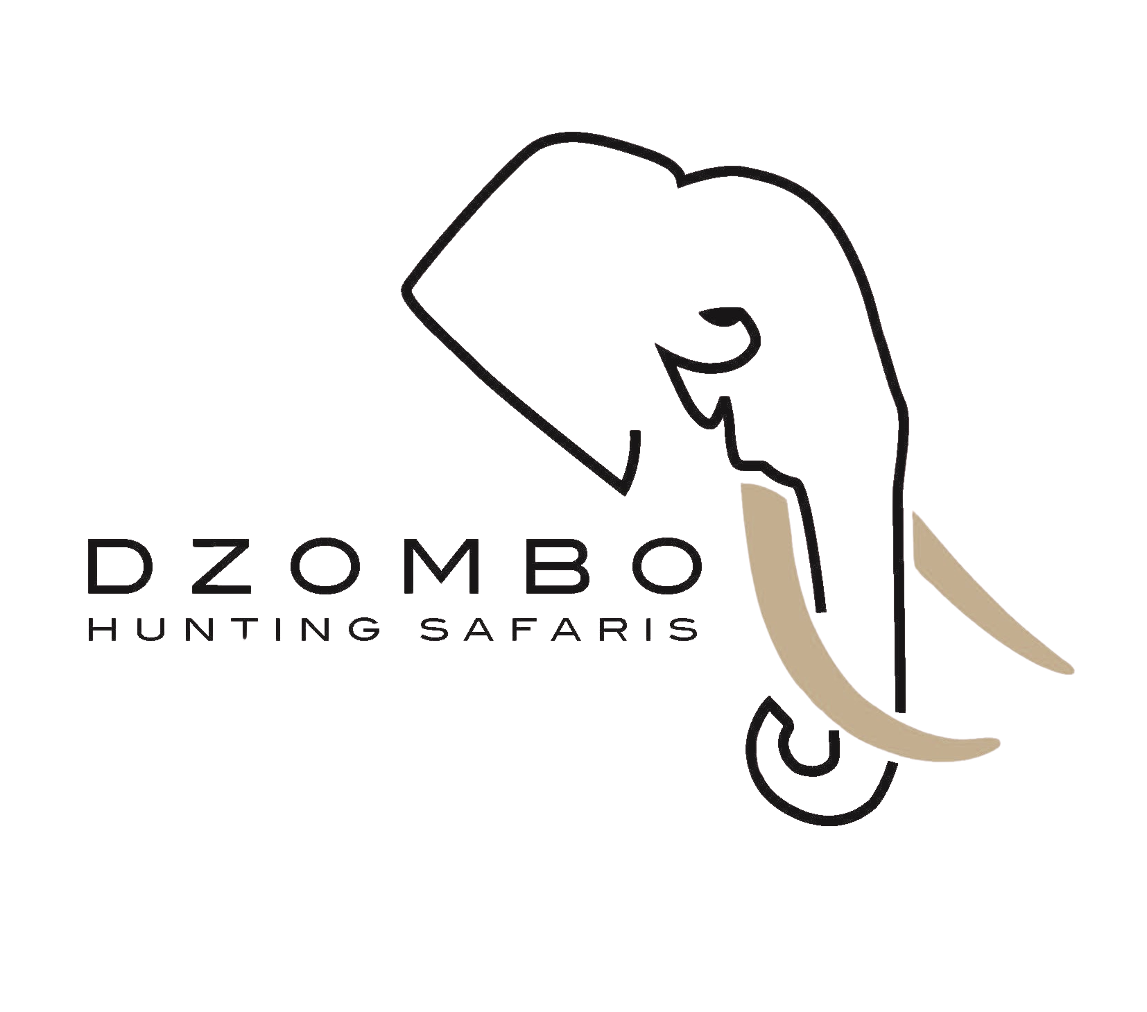 DZOMBO LOGO - Edited