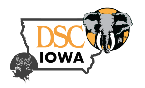 DSC Iowa Chapter Color Logo_Transparent_ Background