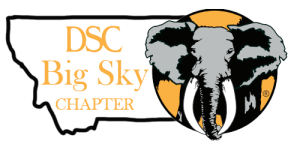 DSC-Big-Sky-bigger-state-outline