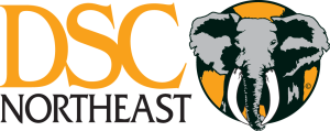 DSC-NE