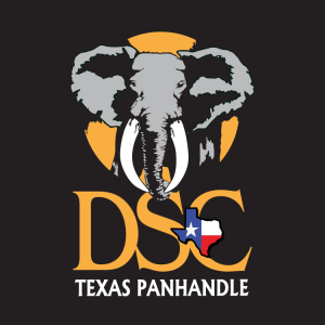 DSC-TX-Panhandle