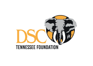 DSC-Tenn