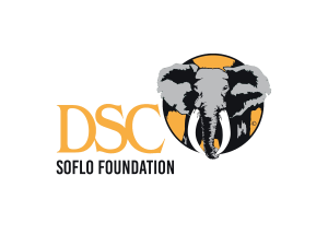 Logo-2-SoFlo